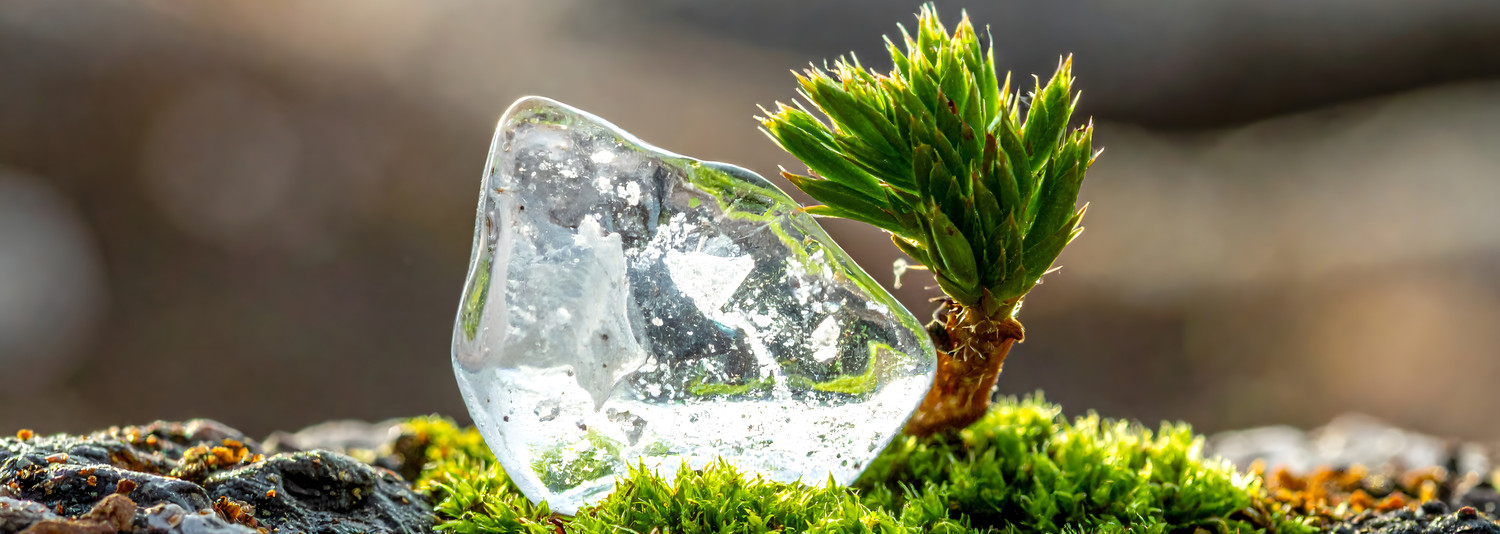 KI generiert: Das Bild zeigt einen klaren Eisbrocken neben einem kleinen, grünen Pflanzenkeimling auf einer moosbedeckten Oberfläche. Es hebt den Kontrast zwischen Eis und frischem Pflanzenwachstum hervor.