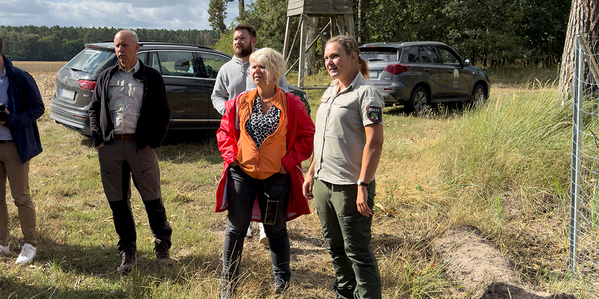 KI generiert: Das Bild zeigt eine Gruppe von Menschen, die in einem bewaldeten Gebiet neben geparkten Autos stehen und offenbar an einer Freiluftveranstaltung teilnehmen. Im Hintergrund ist ein Hochsitz zu sehen.